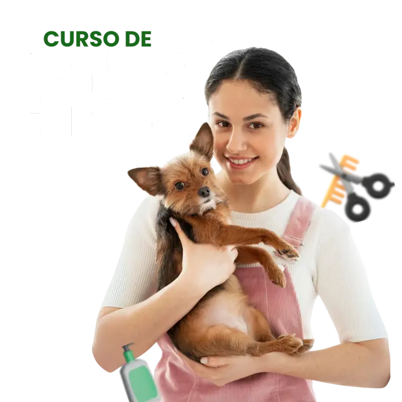Curso de Banho e Tosa