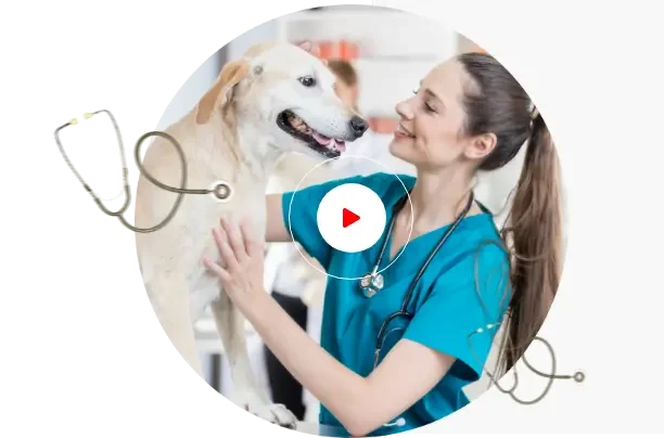 Media Content Image